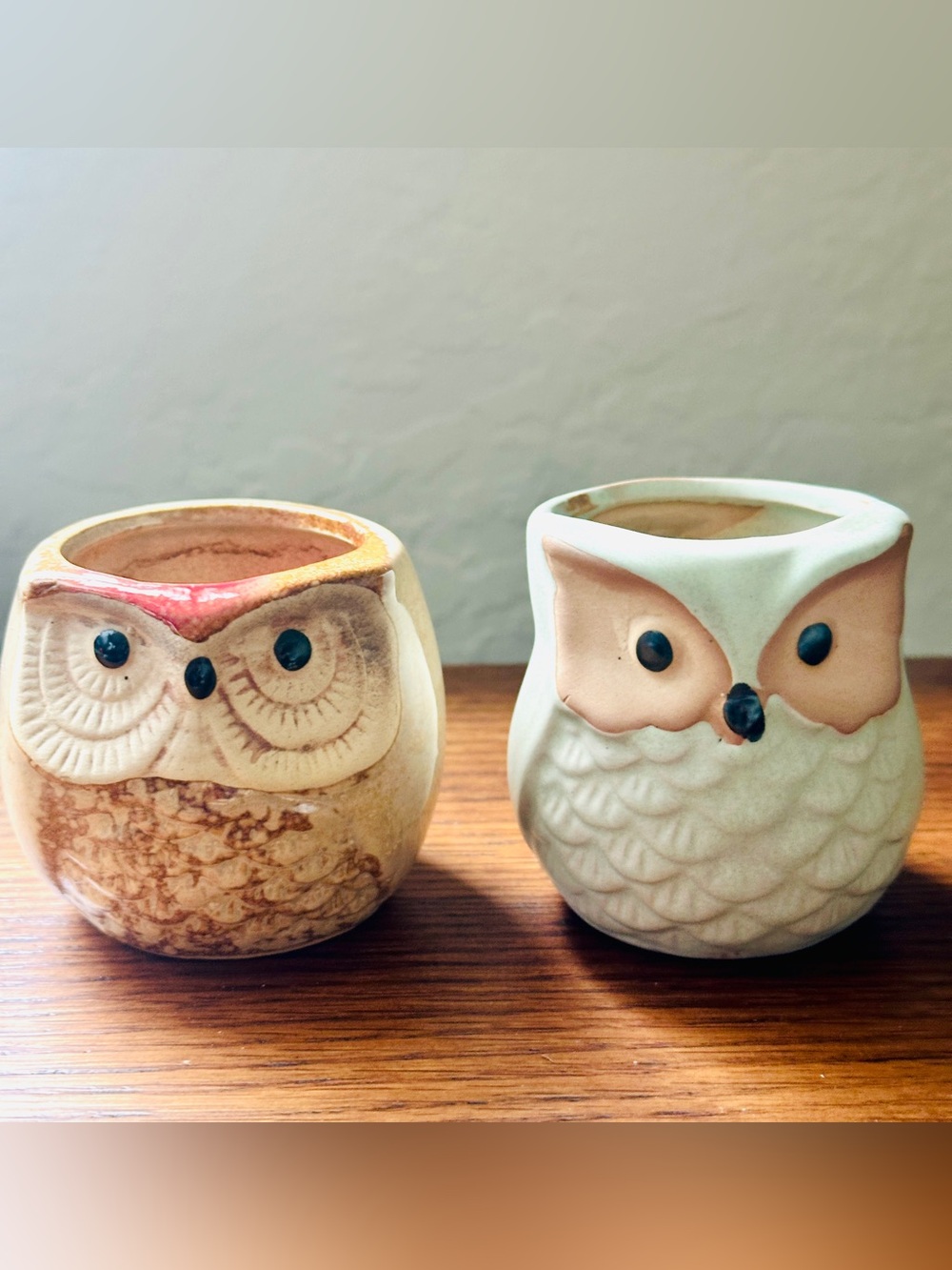 Set of 2 Owl Planter Ceramic Succulent Pots Cottagecore Woodland Decor 2.5" CUTE